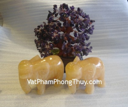 voi-hoang-long-m048-2