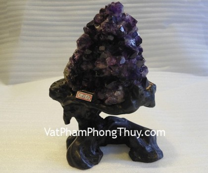 bong-ta-tim-tat-02-4200k-1