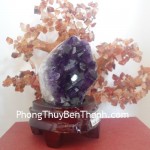 bong-thach-anh-tim-2279