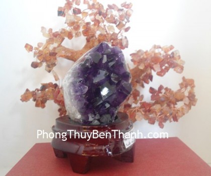 bong-thach-anh-tim-2279