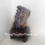 bong-thach-anh-tim-2876-01