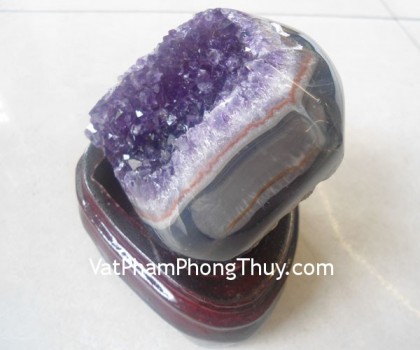 bong-thach-anh-tim-tat-01-2503-01