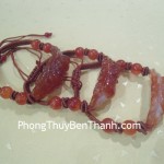 day-rut-ty-huu-ma-nao-do-01