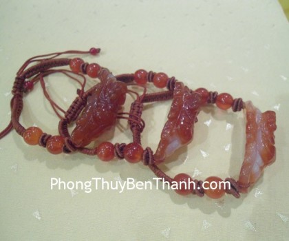 day-rut-ty-huu-ma-nao-do-01