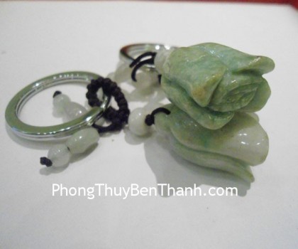 moc-khoa-hoa-chuong-s085