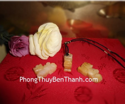 ty-huu-da-hoang-long-dung-01