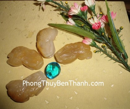 ty-huu-hoang-long-vay-rong-01