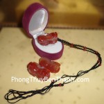 ty-huu-ma-nao-do-s043-01