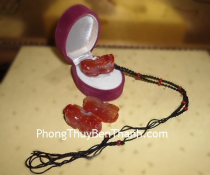 ty-huu-ma-nao-do-s043-01