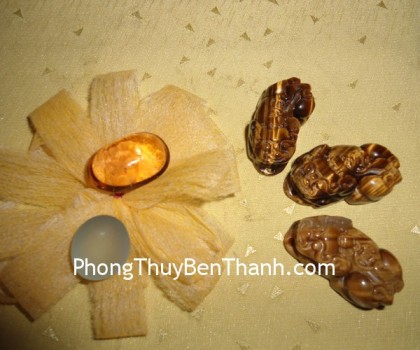 ty-huu-mat-meo-cong-tien-s013