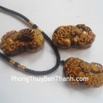 ty-huu-mat-meo-trung-s014-01