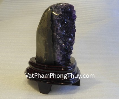 bong-ta-tim-ta101-2563k-1