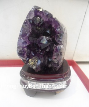 bong-thach-anh-tim-1879-01