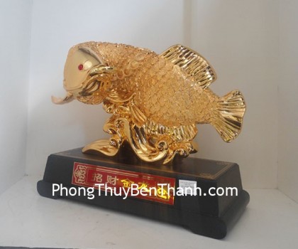 ca-chep-trung-y165-01