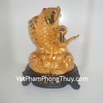 ca-dai-du-dai-loi-y158-02