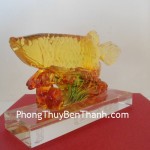 ca-kim-long-luu-ly-y161-01