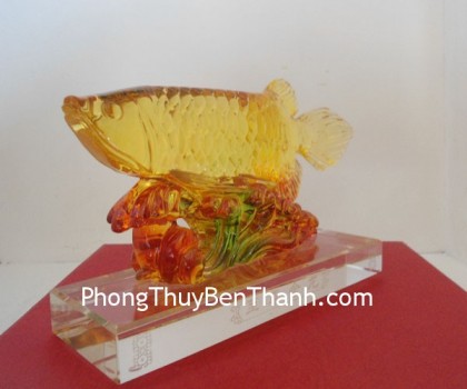 ca-kim-long-luu-ly-y161-01