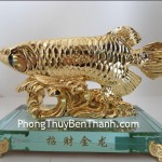 ca-kim-long-nho-y162-02