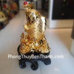 ca-xoay-huu-du-y157-01