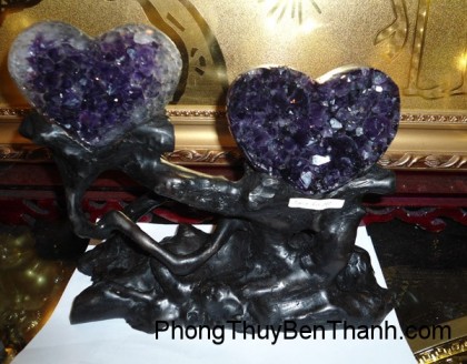 cap-trai-tim-thach-anh-tim1