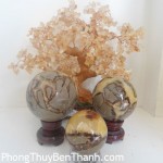 cau-vo-bien-van-the-dt232