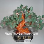 cay-da-dong-linh-01-ca118-1