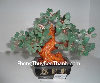 cay-da-dong-linh-01-ca118-1