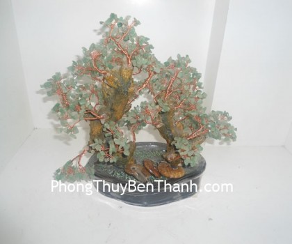 cay-dong-linh-hai-than-roi