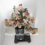 cay-tai-loc-6-de-k151-1-02