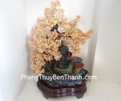 cay-tai-loc-phong-thuy-luan-k163-02