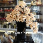 cay-tai-loc-thach-anh-vang-02