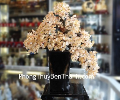 cay-tai-loc-thach-anh-vang-02