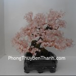 cay-thach-anh-hong-6de-CA117-4-01