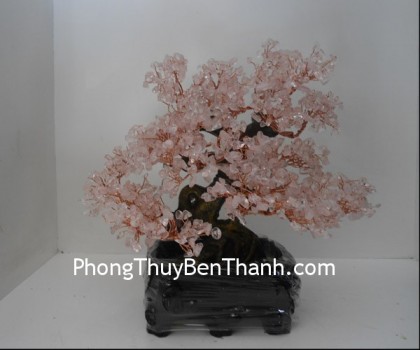 cay-thach-anh-hong-6de-CA117-4-01