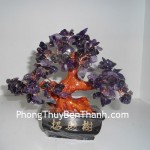 cay-thach-anh-tim-02-ca118-3