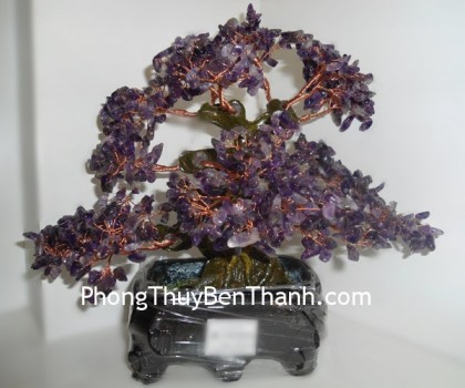 cay-thach-anh-tim-6de-02