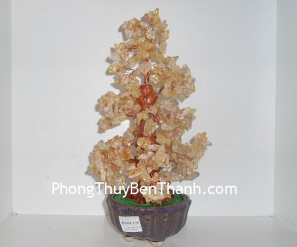 cay-thach-anh-vang-02-ca119