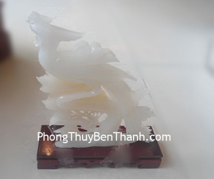 chim-cong-bach-ngoc-k056-02