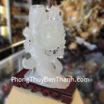 chim-khuyen-mau-don-01