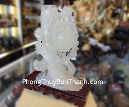 chim-khuyen-mau-don-01