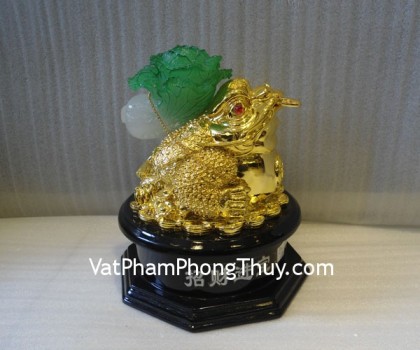 coc-cong-bap-cai-e053-2