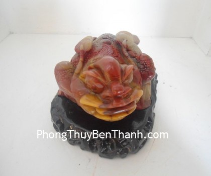 coc-hoang-long-11474