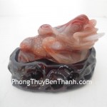 coc-hoang-long-1310-02