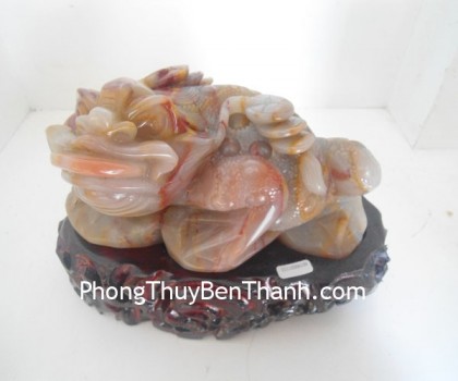 coc-hoang-long-19907-02