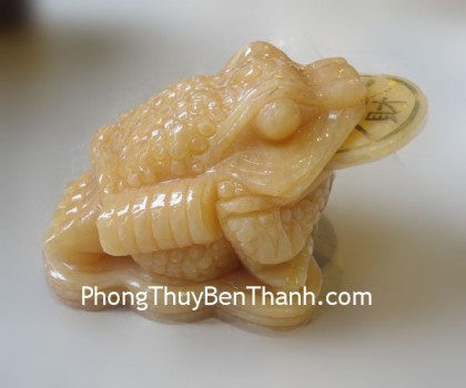 coc-hoang-long-lon-dt208-01