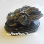 coc-hoang-long-tt-hl-13564-2