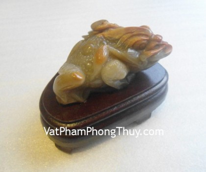 coc-hoang-long-tt-hl-2379-2