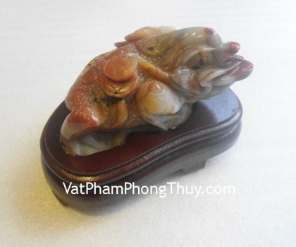 coc-hoang-long-tt-hl-4077-2