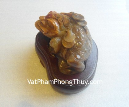 coc-hoang-long-tt-hl-4322