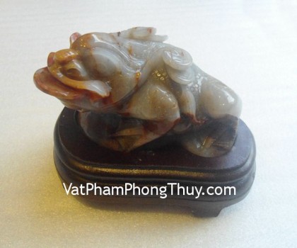 coc-hoang-long-tt-hl-4377-2